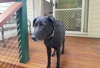 Hostal Mullumbimby Studio