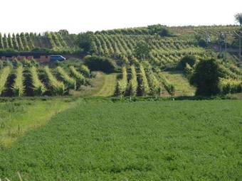 Hostal Penzion Kratochv�l