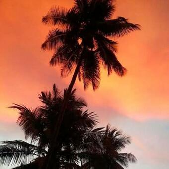 Modern Air Conditioned Home For Family & Adventure