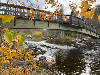 Home With Private Garden Near Golf, Beach, Fishing