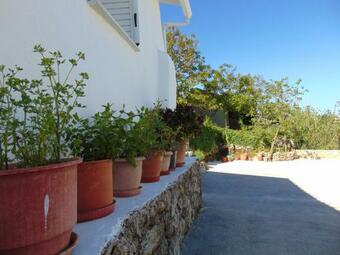 Bed & Breakfast Zante Hideaway II Nearby Shipwreck