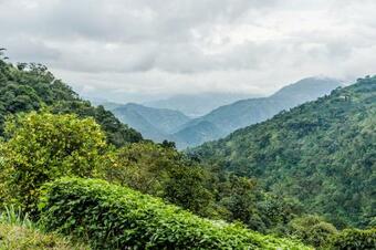 Encanto! Casa De Campo En Caf� De La Cima