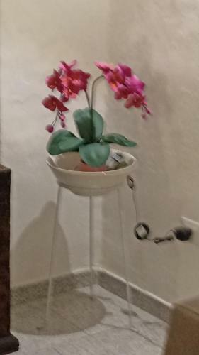 Apartamento Fichi D India