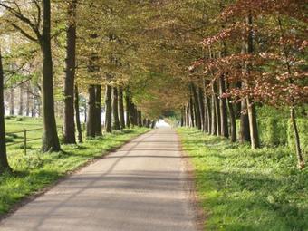 Hoeve De Singel