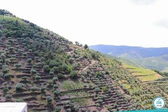 Agroturismo Quinta Do Monte Bravo - Douro - Quarto Duplo