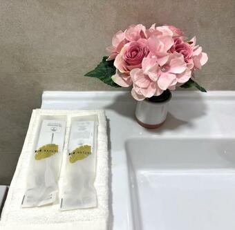 Cariatides Sky Apartment