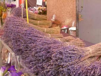 La Maison D � C�t�