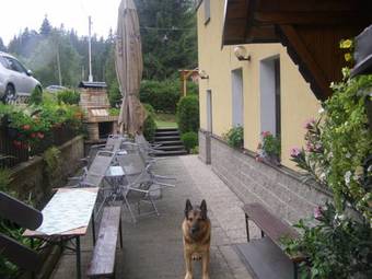 Hostal Penzion Borovice