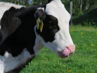 Bed & Breakfast Nymarksminde