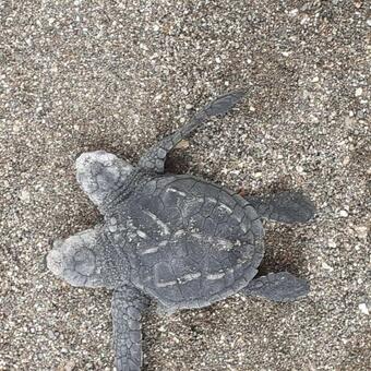 Posada Milagro De Dios