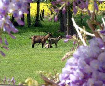 Bed & Breakfast Maison Prairie Bonheur