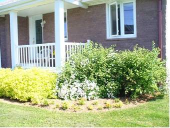 Gite Parfum De Mer Bed And Breakfast