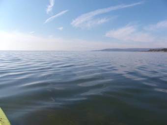 Apartamento Leucateloc