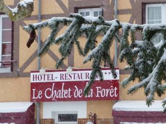 Hotel Le Chalet De La Foret