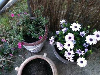 Bed & Breakfast La Tulipe P�rigourdine