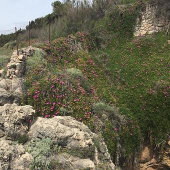 Agroturismo I Giardini Di Margius