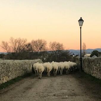 Casa Rural El Gorgocil
