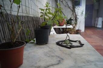 Posada Casa Rural La Jara -fonda De Navarr�s-