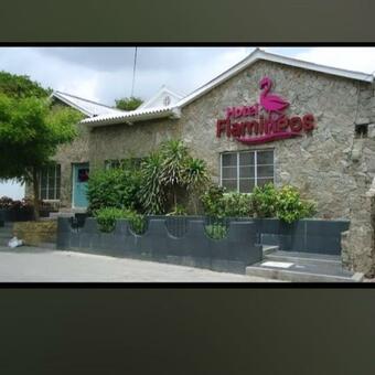 Hotel Flamingo Inn
