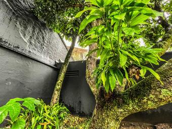 Antonia Hotel Boutique En Ibagu� - Recepci�n Digital 24h