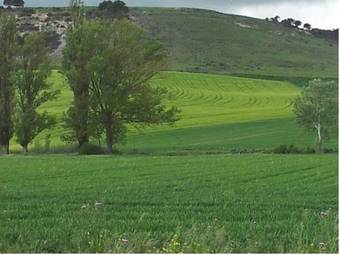 Agroturismo Centro San Pelayo