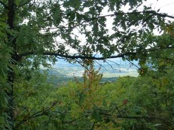 Apartamentos Rurales Carrero