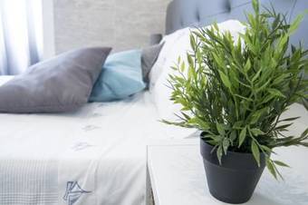 Hostal Pensao Avenida Praia Do Furadouro