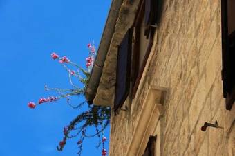 Hostal Apartments & Rooms As