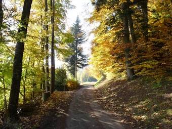 Apartamentos Locations Dupertuis