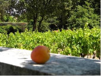 G�te La Bastide Jourdan