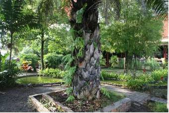 Pinnacle Satun Hotel