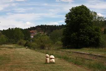 Agroturismo La Estaci�n De Rabanera