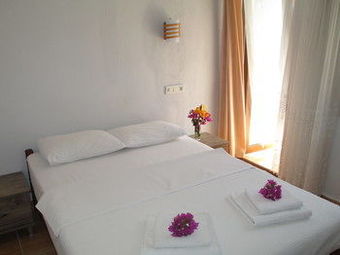 Hostal Eucalyptus Pension