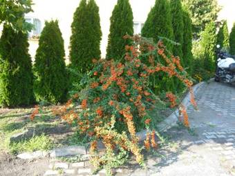 Patyi �tterem �s Hotel