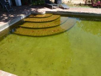 Agroturismo Lagar De Vi�a Vieja