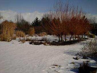 Apartamento La Ferme De Sissi