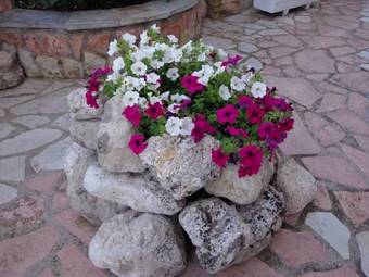 Apartamento Athina Studios