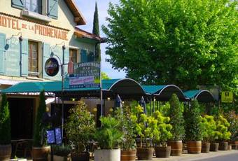 Hotel H�tel Restaurant La Promenade