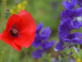 Fantastic Apartment In Montbrun-les-bains With Balcony