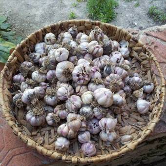 Agroturismo Granja San Miguel