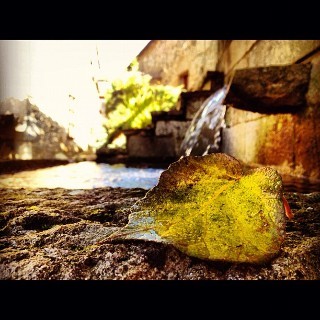 Agroturismo Casa Alda Gasamans