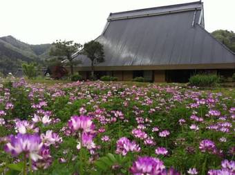 Agroturismo Furumaya House