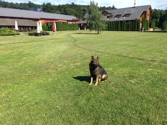 Szent Orb�n Erdei Wellness Hotel