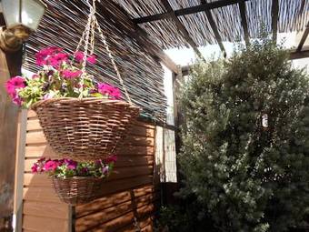 Passion Fruit Apartment