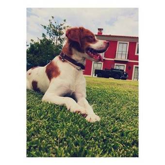 Agroturismo Casa Da Ria - Turismo Rural