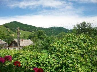 Hostal Pensiunea Covaciu