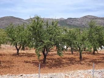 Agroturismo Casa Almar
