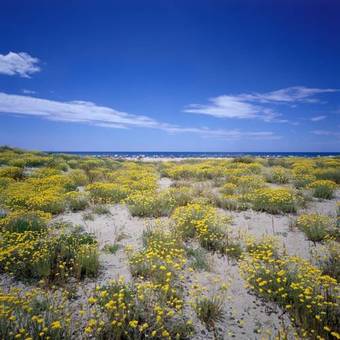 Hostal Campeggio Europa