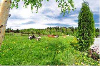 Hostal Pensiunea Poiana Bucovat