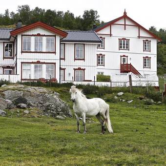 Hotel Hjerkinn Fjellstue